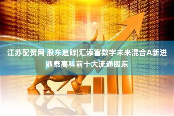 江苏配资网 股东追踪|汇添富数字未来混合A新进鼎泰高科前十大流通股东